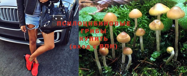 бошки Армянск