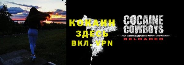 твердый Аркадак