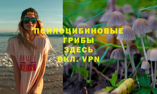 бошки Армянск