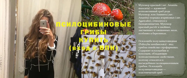 PSILOCYBIN Арсеньев