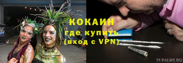 твердый Аркадак