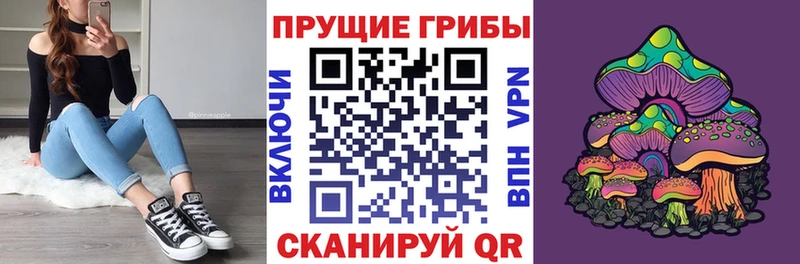 KRAKEN как войти  Белебей  Галлюциногенные грибы мицелий 