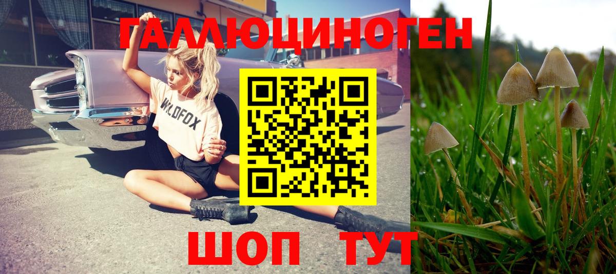 Белебей  Галлюциногенные грибы ЛСД  Вход с VPN 