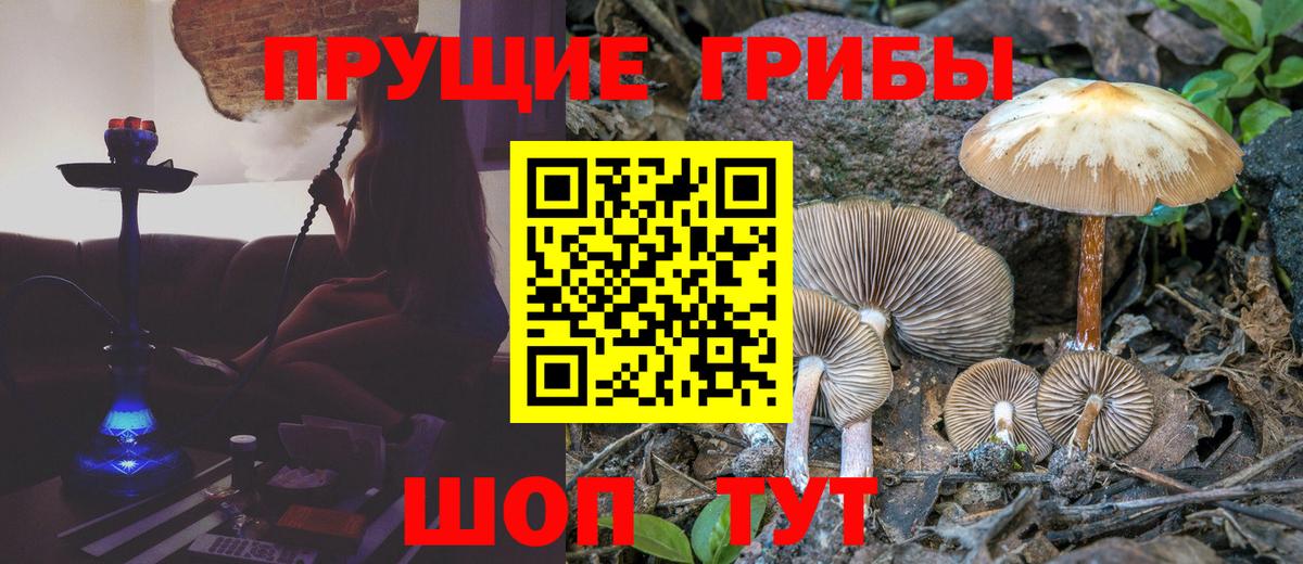 Галлюциногенные грибы ЛСД Белебей