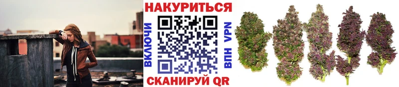 omg tor  Белебей  Бошки марихуана семена  цена наркотик 